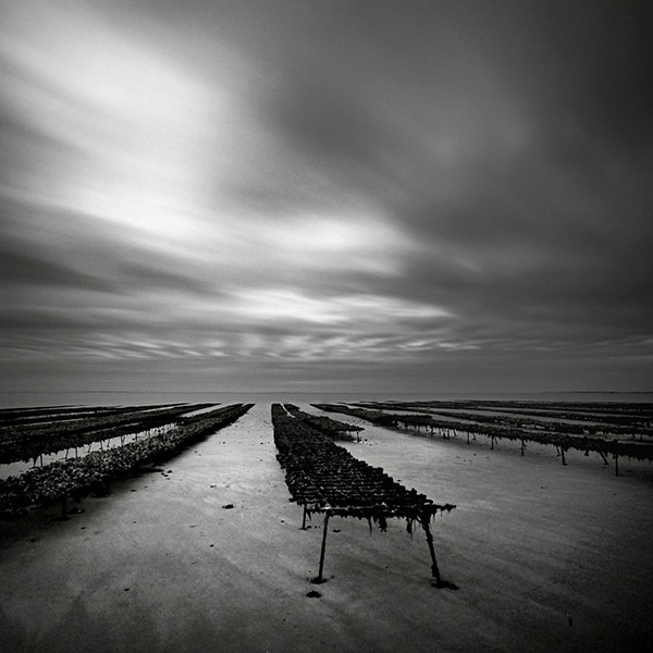 Oyster Beds, �le de R� 